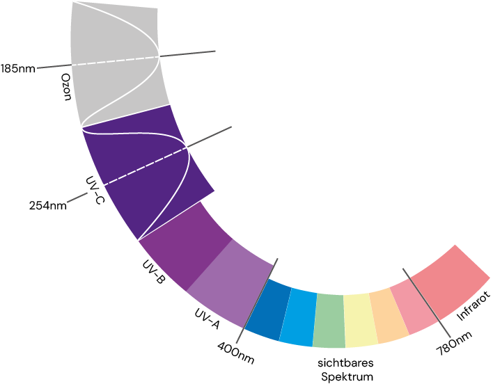 UV-Spektrumd dt
