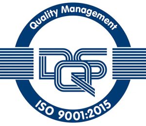 DQS Logo