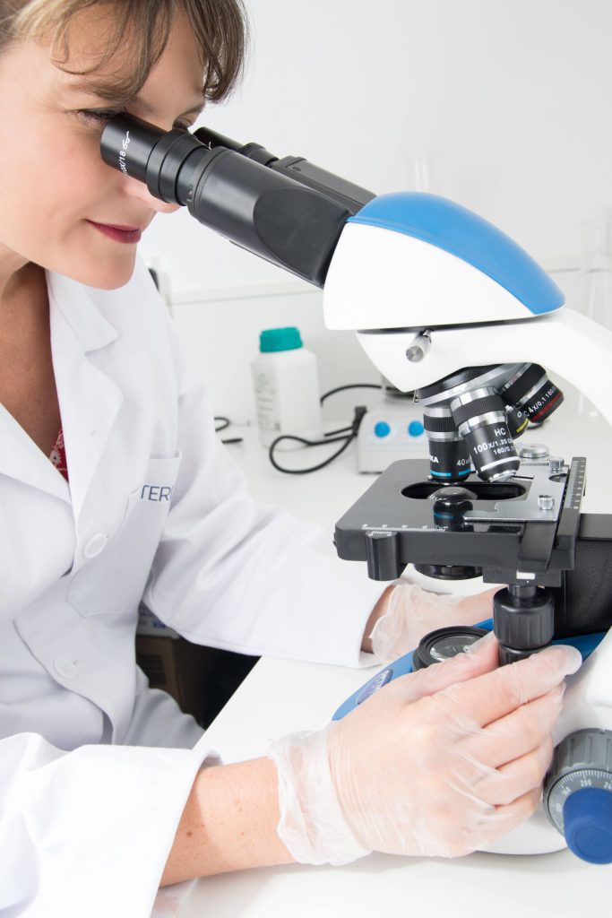 Microbiological analysis in Hoenle’s laboratory Lab technician examining a petri dish through a microscope, adjusting the focus with her right hand